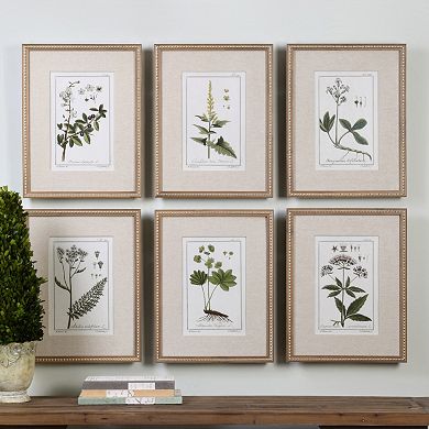 Uttermost Green Floral Botanical Study Framed Wall Art 6-piece Set 