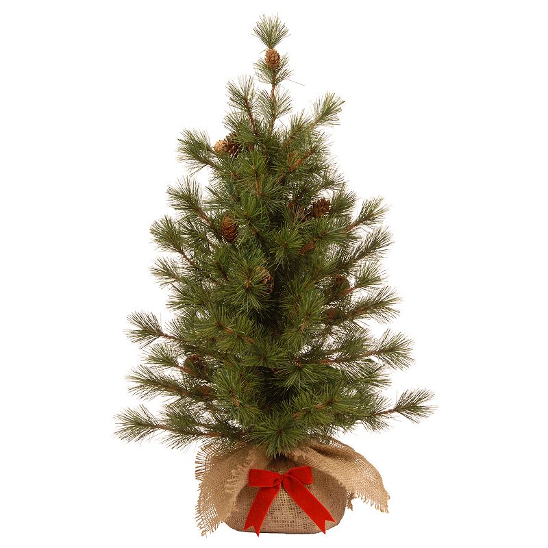 National Tree Company 3 ft. Artificial Bristle Cone Pine Christmas Tree, Gr