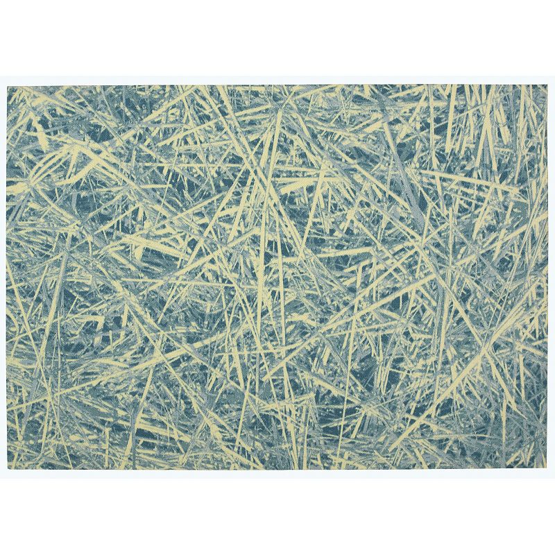 Nourison Coastal Geo Indoor Outdoor Rug, Blue, 8X11 Ft