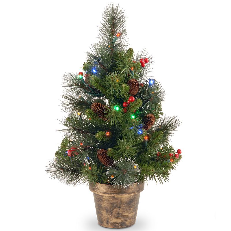National Tree Company 2-ft. Pre-Lit Artificial Crestwood Spruce Christmas T