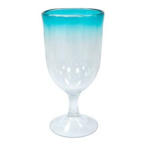 Food Network™ 18-oz. Acrylic Goblet
