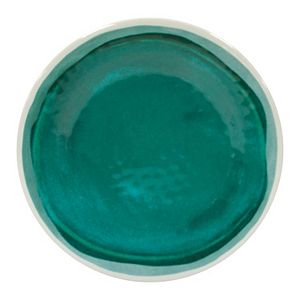 Food Network™ Medallion Melamine Salad Plate