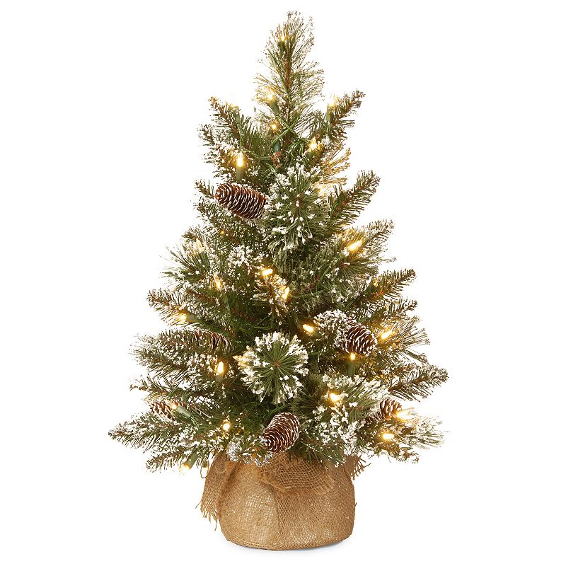 National Tree Company 2-ft. Pre-Lit Artificial Pine Christmas Tree, Green
