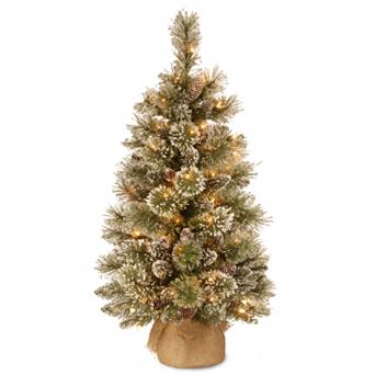 National Tree Company 3-ft. Pre-Lit Artificial Pine Christmas Tree
