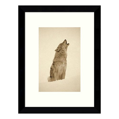 Timber Wolf Howling in the Snow Framed Wall Art