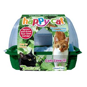 Dunecraft Happy Cat Plant Kit