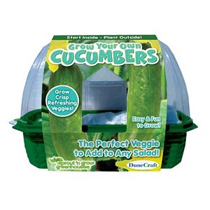 Dunecraft Sprout 'n Grow Greenhouse Grow Your Own Cucumbers