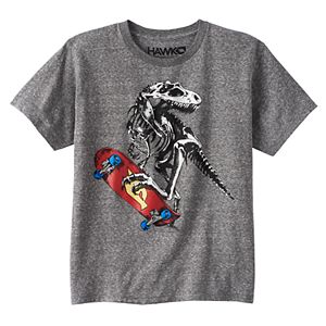 Boys 8-20 Tony Hawk Dinosaur Tee