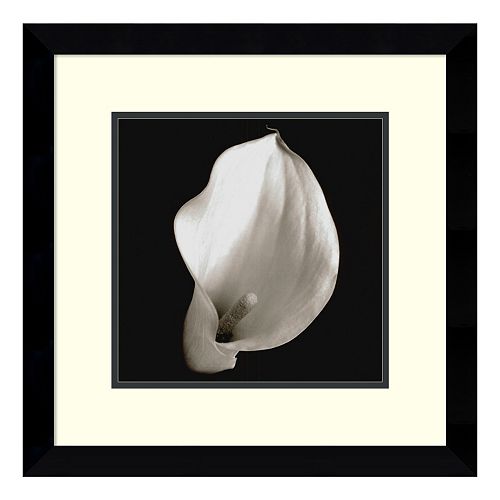 Amanti Art Calla 4 Print Framed Wall Art