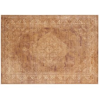 Safavieh Vintage Persian Medallion Framed Rug