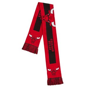 Adult Forever Collectibles Chicago Bulls Big Logo Scarf