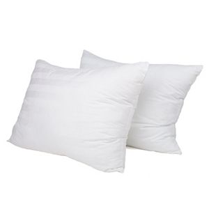 Natural Latex Plus 2-pack Pillow