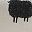 Black Sheep