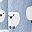 Blue Sheep