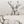 Gray Deer Toile
