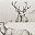 Gray Deer Toile