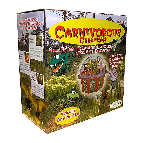 Carnivorous Creations™ Plant Terrarium Kit