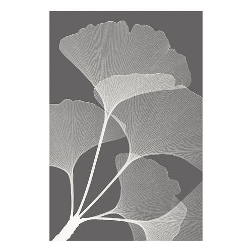 Art.com Ginkgos II Wall Art Print