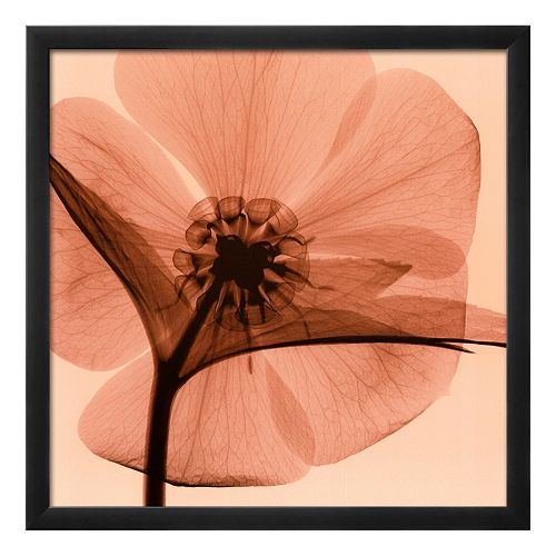 Art.com Hellebore I Framed Wall Art