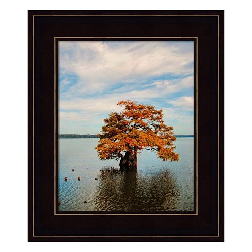 Cypress In Autumn 2 Framed Wall Art