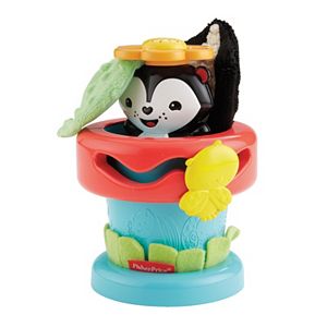 Fisher-Price Peek 'n Play Flower Pot