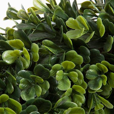 Pure Garden 14-in. Artificial Boxwood Wreath