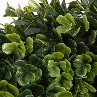 Pure Garden 14-in. Artificial Boxwood Wreath 