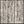Ivory Gray