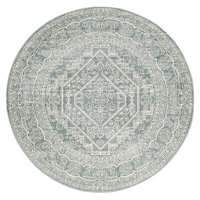 Safavieh Adirondack Cyan Framed Floral Rug