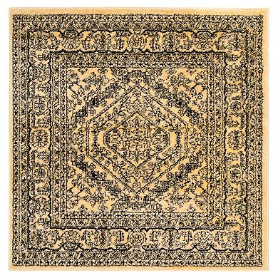 Safavieh Adirondack Cyan Framed Floral Rug