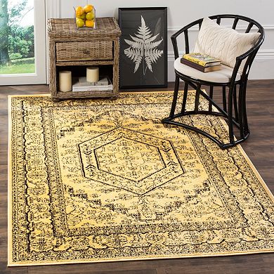 Safavieh Adirondack Cyan Framed Floral Rug