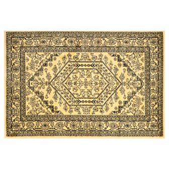 Safavieh Adirondack Cyan Framed Floral Rug