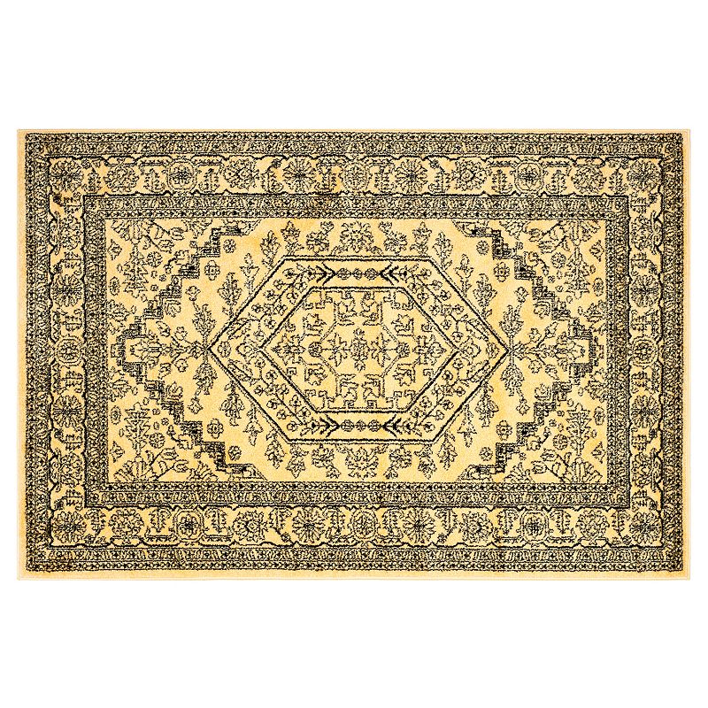 Safavieh Adirondack Cyan Framed Floral Rug, Gold, 8X10 Ft