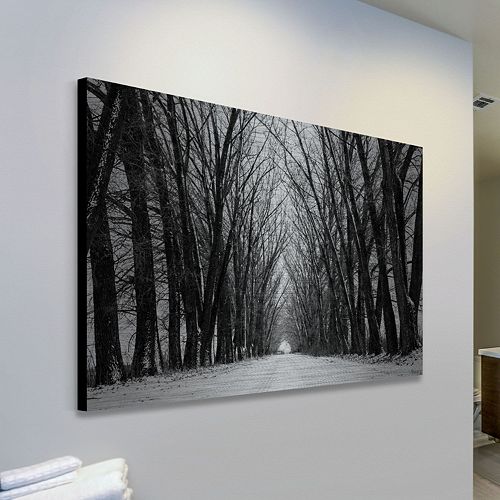 Parvez Taj Rows Of Trees Aluminum Wall Art