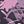 Black Plum Floral
