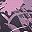 Black Plum Floral