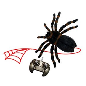 Fantasma Magic Web Attack Tarantula