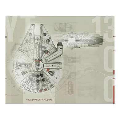 Star Wars Millennium Falcon Mural Wall Decal 5-piece Set by Roommates 