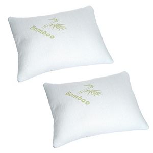 Portsmouth Home 2-pack Memory Foam Pillow