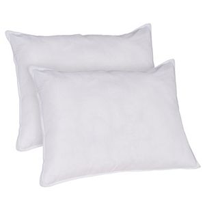 Portsmouth Home 2-pack Ultra Soft Down Alternative Pillow
