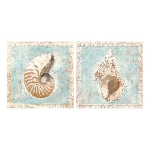 Shells I & II Canvas Wall Art 2-piece Set