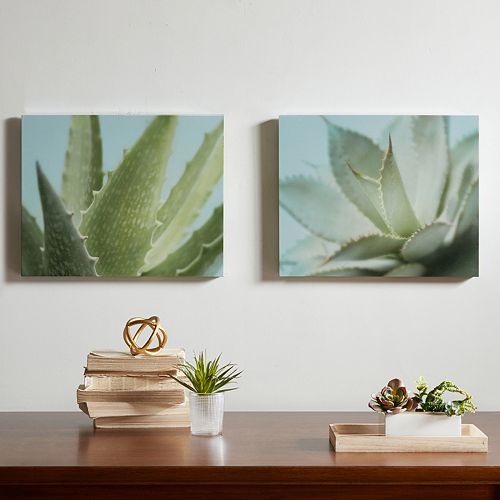 Urban Habitat Aloe Canvas Wall Art 2-piece Set