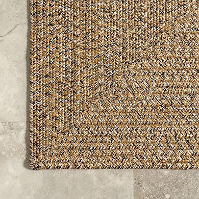 nuLOOM Wynn Braided Indoor Outdoor Area Rug