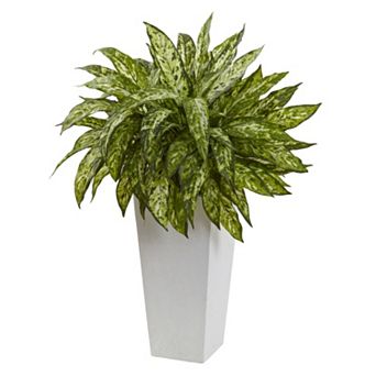 nearly natural Aglaonema Artificial Plant