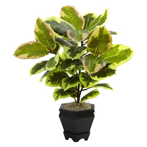nearly natural Artificial 22in. Variegated Rubber Leaf Plant
