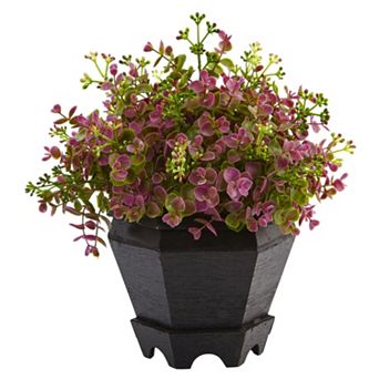 nearly natural Artificial 13 in Sedum & Eucalyptus Plant