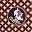 Fsu Team