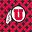Ute Team