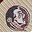 Fsu Team