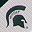 Msu Team
